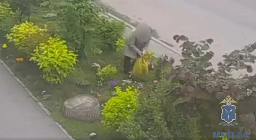В Саратове пенсионерка попалась на краже цветов с клумбы